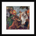 The Assumption of the Virgin by (1528-88) Veronese