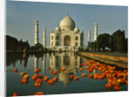View of the Taj Mahal by Anonymous