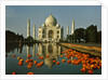 View of the Taj Mahal by Anonymous
