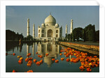 View of the Taj Mahal by Anonymous