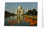 View of the Taj Mahal by Anonymous