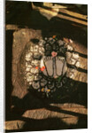 The Footprints of Vishnu by Anonymous