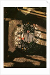 The Footprints of Vishnu by Anonymous
