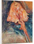The Ray by Chaim Soutine