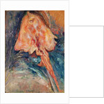 The Ray by Chaim Soutine