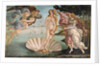 The Birth of Venus, c.1485 by Sandro Botticelli