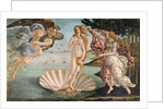 The Birth of Venus, c.1485 by Sandro Botticelli
