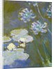 Waterlilies and Agapanthus, 1914-17 by Claude Monet