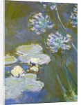 Waterlilies and Agapanthus, 1914-17 by Claude Monet