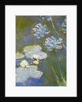 Waterlilies and Agapanthus, 1914-17 by Claude Monet