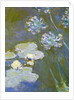 Waterlilies and Agapanthus, 1914-17 by Claude Monet
