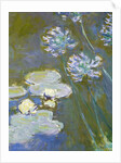 Waterlilies and Agapanthus, 1914-17 by Claude Monet