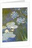 Waterlilies and Agapanthus, 1914-17 by Claude Monet