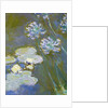Waterlilies and Agapanthus, 1914-17 by Claude Monet