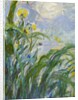 The Yellow Iris by Claude Monet