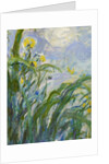 The Yellow Iris by Claude Monet
