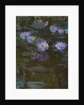 Waterlilies, 1914-17 by Claude Monet