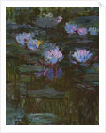 Waterlilies, 1914-17 by Claude Monet