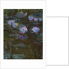 Waterlilies, 1914-17 by Claude Monet