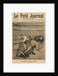 Being devoured by a lion, front cover illustration from 'Le Petit Journal', supplement illustre, 29th September 1895 by Henri Meyer