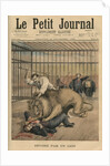 Being devoured by a lion, front cover illustration from 'Le Petit Journal', supplement illustre, 29th September 1895 by Henri Meyer