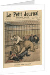 Being devoured by a lion, front cover illustration from 'Le Petit Journal', supplement illustre, 29th September 1895 by Henri Meyer