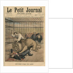 Being devoured by a lion, front cover illustration from 'Le Petit Journal', supplement illustre, 29th September 1895 by Henri Meyer