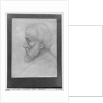 Head of an old man with long hair, 1899 by Alphonse Legros