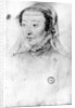 Catherine de Medici, c.1560 by Francois Clouet