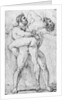 Hercules strangling Antaeus by Louis Charles Auguste Couder