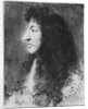 Portrait of Louis XIV, young, in profile to the left by Charles Le Brun