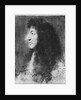 Portrait of Louis XIV, young, in profile to the left by Charles Le Brun