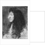 Portrait of Louis XIV, young, in profile to the left by Charles Le Brun