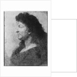 Portrait of Louis XIV in profile, with bare neck and long hair, c.1678 by Charles Le Brun