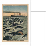 A shoal of whales attacking a liner by French School