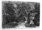 The Stream through the trees, 1880 by Rodolphe Bresdin