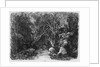 The Stream through the trees, 1880 by Rodolphe Bresdin