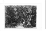 The Stream through the trees, 1880 by Rodolphe Bresdin