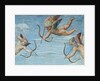 The Triumph of Galatea, 1512-14 by Raphael