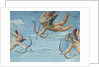 The Triumph of Galatea, 1512-14 by Raphael