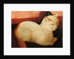 A white cat by Niccolo Frangipane