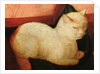 A white cat by Niccolo Frangipane