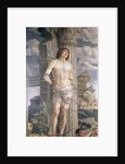 St. Sebastian, 1481 by Andrea Mantegna