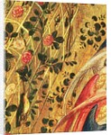 Madonna with a Rose Bush by Stefano di Giovanni da Verona