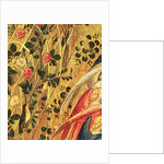 Madonna with a Rose Bush by Stefano di Giovanni da Verona