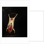 Flayed Pig by Adriaen Jansz. van Ostade