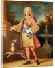 Portrait of Ferdinand of Bourbon, Prince of Asturias, c.1725-35 by Jean Ranc