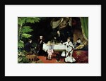 The Luncheon in the Conservatory, 1877 by Louise Abbema