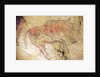 Bison from the Caves at Altamira, c.15000 BC by Prehistoric Prehistoric