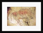 Bison from the Caves at Altamira, c.15000 BC by Prehistoric Prehistoric